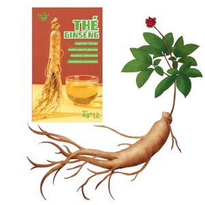 Vente en gros de sachets de thé vert pour hommes, stimulant énergétique et soutien de la prostate, pour une vitalité sexuelle accrue - Product Image 6