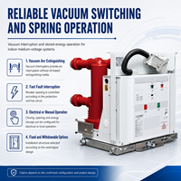 Interruptor de Circuito al Vacío Trifásico para Interiores ASM VS1-24/630-25 630A 25kA 50Hz con Mecanismo de Resorte Compatible con KYN28A-Tipo de Media Tensión