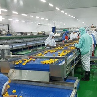 Automatische Fles Ingeblikte Gele Perzik Aardbei Sinaasappels Peren Apple Vulling Verpakking Proces Machine