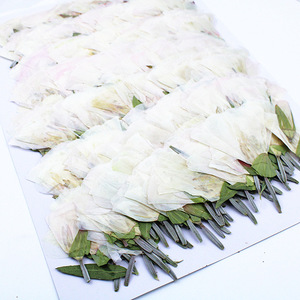 Fleurs de Godetia naturelles séchées pressées, petites et plates, de couleurs mélangées, pour maquillage de visage, nail art et artisanat en résine pour festivals - Product Image 3