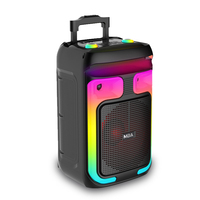 Enceinte portable 40W RMS Karaoké avec 2 micros sans fil, lumière LED, USB, TF, FM, télécommande, rechargeable 3000mAh
