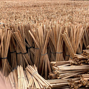 Portable 2 1 Garden Broom Wooden Handle Natural Eucalyptus Eco-Friendly Durable Waterproof Extendable Furniture Toilet Use - Product Image 2