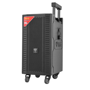 Altoparlante Portatile con <span class=keywords><strong>Ruote</strong></span> da 8 Pollici, Funzione Karaoke, Ingresso <span class=keywords><strong>per</strong></span> Chitarra e Lunga Durata di Riproduzione, Consegna Rapida - Product Image 4