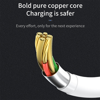Kabel Tipe C ke Tipe C 1m untuk Iphone 15 60w 100w Pengisian Cepat Kabel Data untuk Iphone 15 Pro Max