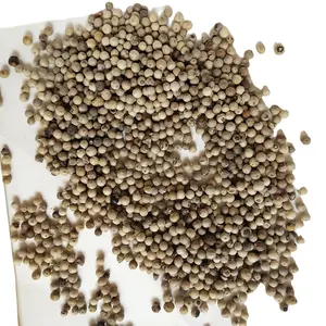 1KG Bai hu jiao Premium quality Fructus Piperis loose whole round white pepper for spice