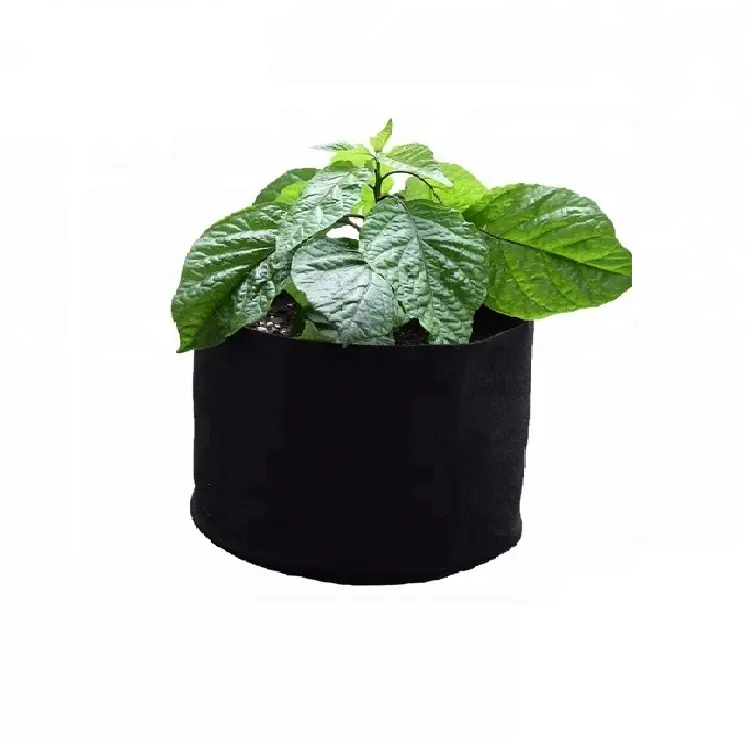 Pot Garden Filz wachsen Taschen Smart Flower Hydro ponic Stoff 1 2 3 5 7 Gallonen Pflanzen faser