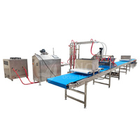 Machine automatique de fabrication de guimauves HNOC 50-600 kg/h, ligne de production de bonbons guimauves, extrudeuse en acier inoxydable 304, industrielle