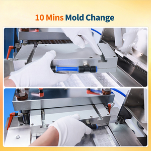 Máquina Empacadora Automática de Tabletas y Píldoras de Alta Precisión Serie DPP, con Moldes Intercambiables para Empacar Cualquier Material - Product Image 4