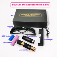 B025 Lampe torche laser rechargeable portable 450nm bleu 520nm vert pour le camping, allumeur