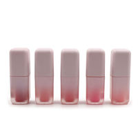Nouveauté : Gloss à lèvres en gros pour usine, personnalisation, tube de gloss repulpant, emballage et couleur, gloss brillant