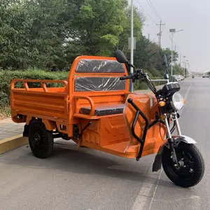 Factory Best-selling electric cargo tricycle