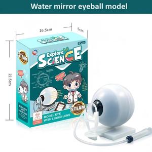 Modelo de Órganos Humanos Educativo para Niños, Juguete de Ciencia y Tecnología, Ensamblaje DIY, Cognición Temprana, STEAM, Juguete Médico Interno - Product Image 3