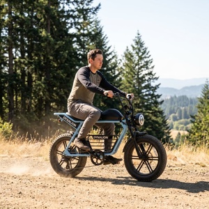 Bicicleta Eléctrica Ergonómica Vintage con Shimano de 7 Velocidades, Pedelec Premium para Exploración en Cabanas de Montaña - Product Image 6