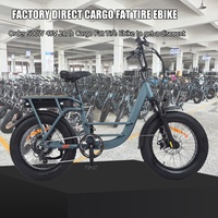 Bicicleta Eléctrica con Llantas Anchas, 500W, 48V, 20Ah, 120km de Autonomía, Suspensión Delantera, 7 Velocidades, Venta al Por Mayor de Fábrica, Duradera