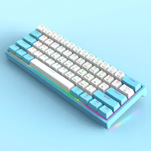 Keyboard mekanik TYPE-C 61 tombol Bea Cukai pabrikan dengan lampu latar RGB keyboard game mekanis klavye teclado untuk desktop