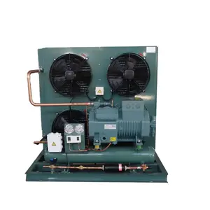 R404A Abra o tipo compressor semi-hermético refrigeração sala fria condensando a unidade