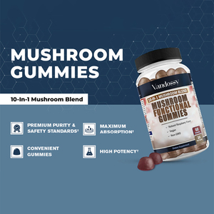 Tùy chỉnh sư tử của bờm nấm bổ sung Gummies thảo dược tập trung & hỗ trợ não - Product Image 3