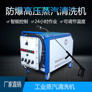 Industrielle explosions geschützte Hochtemperatur-Dampf reinigungs maschine Handbuch Kunststoff-Getriebe öl ausrüstung Factory Direct - Product Image 2