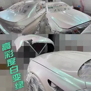 Bulk iridescent ghost Car Paint Pearl pigment Powder