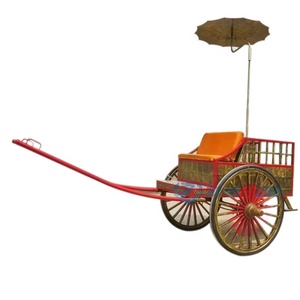 Rickshaw de Primera Calidad en Diferentes Estilos, Rickshaw Clásico, Nuevo Vehículo de 2 Ruedas y 2 Plazas en Venta - Product Image 2