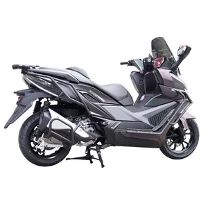 Soporte de equipaje trasero para <span class=keywords><strong>SYM</strong></span> Cruiser <span class=keywords><strong>400</strong></span>, pieza de modificación de alerón trasero, adecuada para modelos 24, hecha de acero al carbono. - Product Image 6