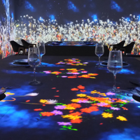 Restaurant à projection holographique, conception de projection immersive, personnalisation, table à manger immersive pour restaurant avec logiciel