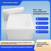 Boîte en mousse EPS Litchi, carton rectangulaire, boîte thermique pour la chaîne du froid, pour la conservation des fruits et légumes frais, pour l'e-commerce express