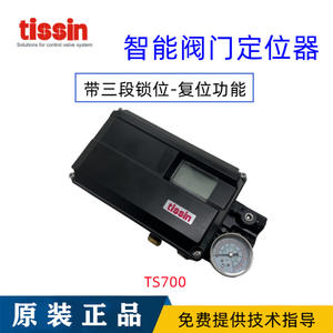 Posicionador de Válvulas Inteligente TS700 con Carrera Angular TS700R, Fabricado en Corea por Teisen - Product Image 5