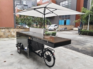 Vélo à crème glacée de haute qualité pour restaurant, chariot alimentaire au design esthétique et décoratif - Product Image 4