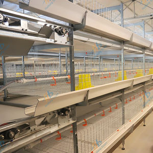 Dayanıklı durumda en iyi fiyat otomatik çok katmanlı tavuk Broiler tavuk çiftliği için kullanılan kafesleri - Product Image 5