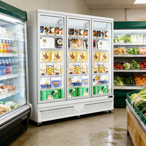Congélateur vitrine à 3 portes vitrées à chargement par le bas pour fruits de mer et viandes, vente directe usine - Product Image 5