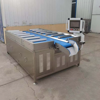 Báscula Electrónica Multiplataforma para Automatización, 12 Palés, para Frutas, Mariscos y Carne, con Función de Pesaje Combinado