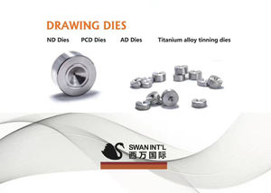 Customized Fast Delivery PCD <strong>Drawing</strong> <strong>Dies</strong> Copper <strong>Wire</strong> <strong>Drawing</strong> <strong>Dies</strong> Polycrystalline Diamond <strong>Wire</strong> <strong>Drawing</strong> <strong>Dies</strong> - Product Image 4