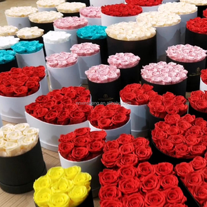 Équateur roses conservées 1pc fleur préservée boîte-cadeau finie <span class=keywords><strong>rose</strong></span> petite boîte à la main pour <span class=keywords><strong>rose</strong></span> préservée - Product Image 5