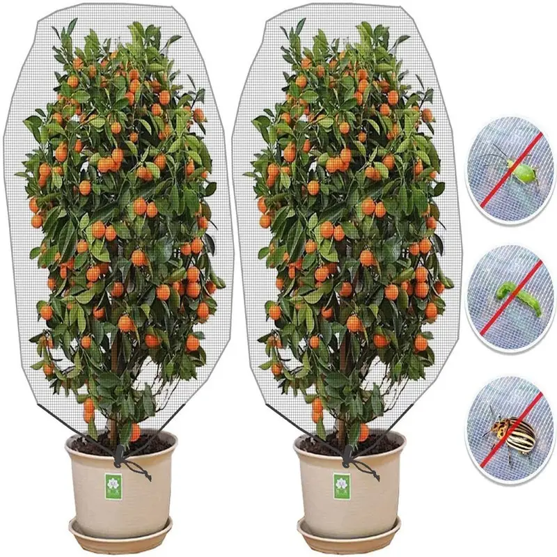 Plant insect cover fruit melon plant protection cover with drawstring can be vacuumed