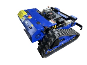 Free Shipping 5 EPA <b>Mini</b> CE Remote Control Lawnmower RC Agricultural Mowing <b>Robot</b> Y11 Garden Mower - Product Image 5