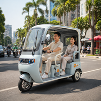 Tricycle électrique en gros 800W, véhicule de mobilité urbaine à trois roues pour 2 passagers