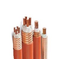 Cable de Alimentación de Baja Emisión de Humo, Sin Halógenos, con Conductor de Cobre, Clasificación IP68, BTTZ/BBTRZ/YTTWZ, para Uso Industrial y en Centrales Eléctricas