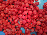 Machine automatique de dénoyautage de cerises, de pruneaux, d'abricots, de litchis, machine à dénoyauter les fruits