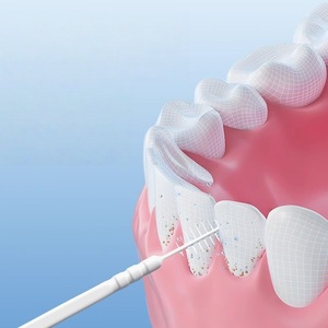 Cepillo de dientes Haier para la limpieza diaria entre los dientes, después de las comidas, cepillo de dientes y palillo de dientes desechables portátiles 2 en 1. - Product Image 1