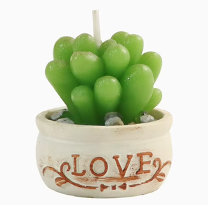 Juego <span class=keywords><strong>de</strong></span> <span class=keywords><strong>Velas</strong></span> Aromáticas <span class=keywords><strong>con</strong></span> Forma <span class=keywords><strong>de</strong></span> <span class=keywords><strong>Cactus</strong></span> <span class=keywords><strong>y</strong></span> Suculentas - <span class=keywords><strong>Velas</strong></span> Decorativas <span class=keywords><strong>con</strong></span> Forma <span class=keywords><strong>de</strong></span> Planta en Maceta para el Hogar, Precio <span class=keywords><strong>de</strong></span> Fábrica, Gran Venta - Product Image 5