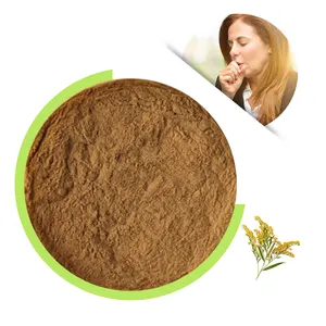 High Quality Cosmetics Grade Pure Solidago Powder Green Herbal Extract Solvent Extracted China Food Grade Available Drum