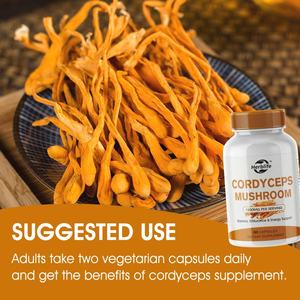 Suplemento Herbal de Venta Caliente OEM ODM, Extracto de Cordyceps Sinensis, Cápsulas de Hongo Cordyceps - Product Image 5