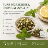 Groothandel Natuurlijke Pepermunt IJsthee voor de Zomer, Vitamine C Boost, Verfrissende Citroen Pepermunt Cold Brew Thee Zakjes