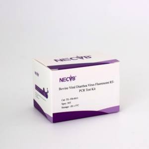 BVDV-2 Echtzeit-RT-PCR kit (50 Tests) Rinder-Virus-Erkennungs sonde SYBR Green Method - Product Image 5