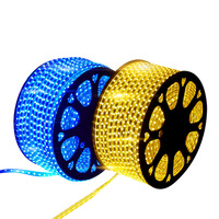 Bande lumineuse LED flexible 1m 2m 5m 10m Longueur personnalisée 16W Blanc chaud Blanc positif Blanc froid Lumière rouge Lumière bleue Lumière verte