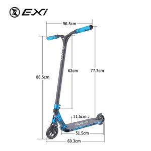 2 Wheels Self Balancing Stunt Scooter For Adult Outdoor Sports