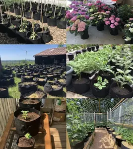 حقيبة مخصصة سعة 1/2 جالون من النايل الإيكولوجي لزراعة الخضراوات والأزهار والشجيرات حقيبة تخزين نباتات غير منسوجة لجميع فصول السنة - Product Image 4