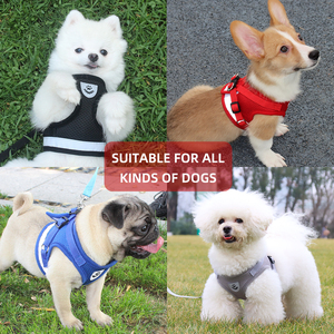 Jenis rompi yang dapat diatur reflektif nyaman Harness hewan peliharaan anjing dan kucing Universal Harness dengan set tali traksi - Product Image 2