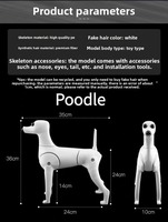 Perruques synthétiques en fourrure pour chien, pour entraînement et toilettage de caniches, emballées sous vide, modèle squelette de chien, vente en gros directe usine, stable